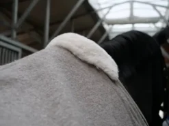 Sale 100% undyed natural sheep wool rug PURE by EQUITECT. Couvertures Cheval