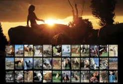 Sale Abonnement illimité au magazine Planète Cheval au Naturel et Équitation Durable Livres D'Équitation