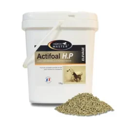Online ACTIFOAL H.P - Aliment complémentaire lacté pour poulains Elevage·Croissance Du Poulain
