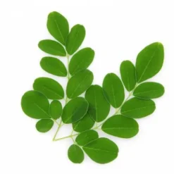 Outlet All in Guts Appareil Digestif·Facilite Le Transit|Bien-Être Du Cheval·Plantes Pour Chevaux