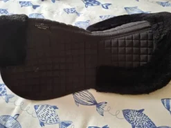 Amortisseur Amortisseurs De Dos