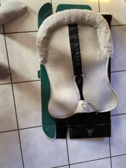 Sale Amortisseur Acavallo Amortisseurs De Dos