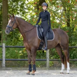 Clearance Amortisseur air mesh Amortisseurs De Dos