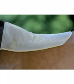 Best Amortisseur de dos AKTON® - - Épaisseur 10 mm Amortisseurs De Dos