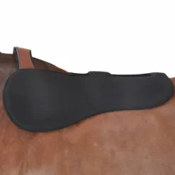 Amortisseur feutre - Amortisseurs De Dos