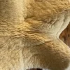 Best Amortisseur mouton Werner Amortisseurs De Dos