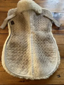 Best Amortisseur mouton Werner Amortisseurs De Dos