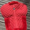 Amortisseur rouge Amortisseurs De Dos