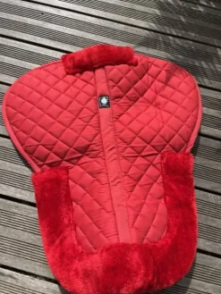 Amortisseur rouge Amortisseurs De Dos