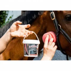 Outlet Anti-mouches répulsif Power Phaser Durativ - Insectifuges Et Répulsifs