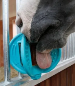 New Balle 3 en 1 Bizzy Ball - Bizzy Horse Aménagement De L'Écurie·Jouets Pour Chevaux