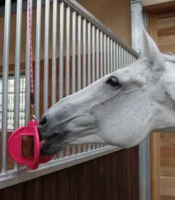 New Balle 3 en 1 Bizzy Ball - Bizzy Horse Aménagement De L'Écurie·Jouets Pour Chevaux