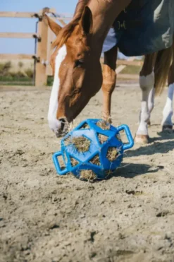 Sale Balle à foin - Kentucky Matériel Pour L'Alimentation·Filets à Foin