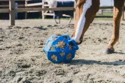 Sale Balle à foin - Kentucky Matériel Pour L'Alimentation·Filets à Foin