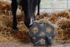 Sale Balle à foin - Kentucky Matériel Pour L'Alimentation·Filets à Foin