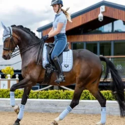 Best Bandages de polo Loire - Bandages