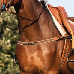 Sale Bande élastique de poitrail - Autre Marque - Anatomique Enrênements·Bricole