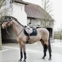 Sale Bandes de polo Basic Velvet  - Kentucky Bandages