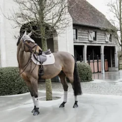 Sale Bandes de polo Basic Velvet  - Kentucky Bandages