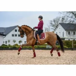 Online Bandes de polo BE TEMPTED Cherry Milkshake - Bandages