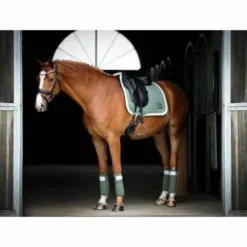 Best Bandes de polo BE TEMPTED Peppermint Cakepop - Bandages