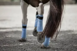 Online Bandes de polo bleu ciel Morning Sky - Bandages