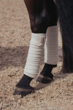Online Bandes de polo - Desert Rose Bandages