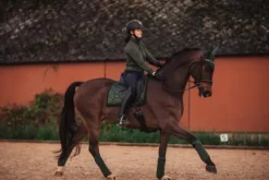 Sale Bandes de polo - Deep Olivine Bandages