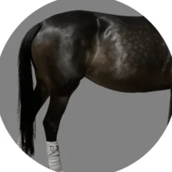 Outlet Bandes de polo Bandages