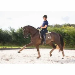 Hot Bandes de polo GEM COLLECTION - SMOKY QUARTZ Bandages