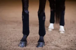 Online Bandes de polo MAHOGANY GLIMMER - Bandages