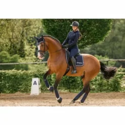 New Bandes de polo Noomi - Bandages