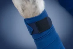 Sale Bandes Edition limitée 2022 Blue - Bandages