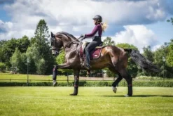 Outlet Bandes polaire Black Cherry - Bandages