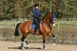 Discount Bandes polaire Navy Shimmer - Bandages