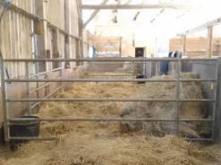 Clearance Barrières d'élevage Aménagement De L'Écurie·Portes Et Façades De Box