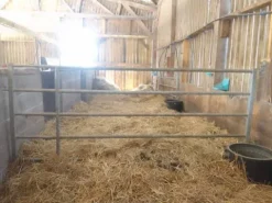 Clearance Barrières d'élevage Aménagement De L'Écurie·Portes Et Façades De Box