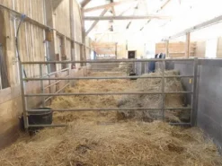 Clearance Barrières d'élevage Aménagement De L'Écurie·Portes Et Façades De Box