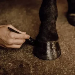 Discount Baume pour sabots Hiver - Produits De Soin Sabots