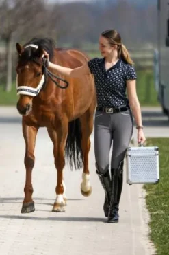 Best Boite de pansage Grooming box Shiny - Imperial Riding Boîtes Et Kits De Pansage