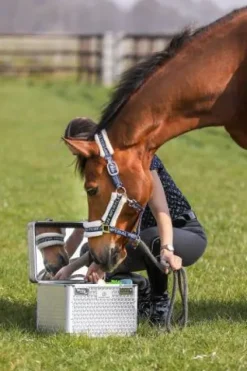 Best Boite de pansage Grooming box Shiny - Imperial Riding Boîtes Et Kits De Pansage