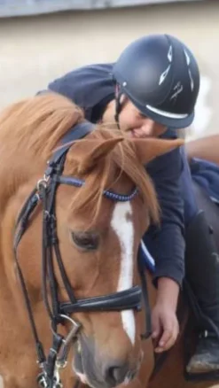 Sale Bombe Antares Protections De Tête·Casques D'équitation