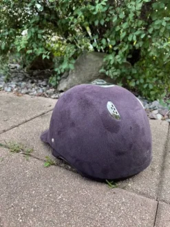 Discount Bombe noire Protections De Tête·Casques D'équitation