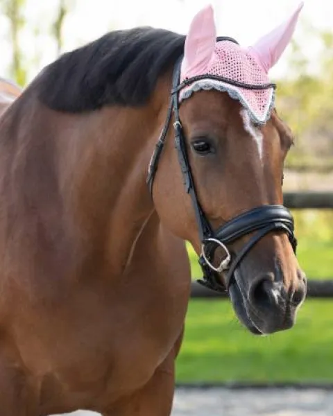 Online Bonnet à mouches color - - Confort et maintien Bonnets|Bonnet Cheval