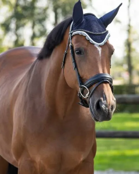 Online Bonnet à mouches color - - Confort et maintien Bonnets|Bonnet Cheval