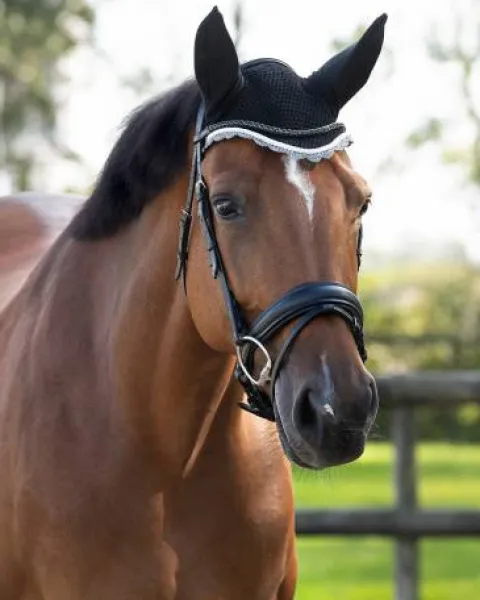Online Bonnet à mouches color - - Confort et maintien Bonnets|Bonnet Cheval