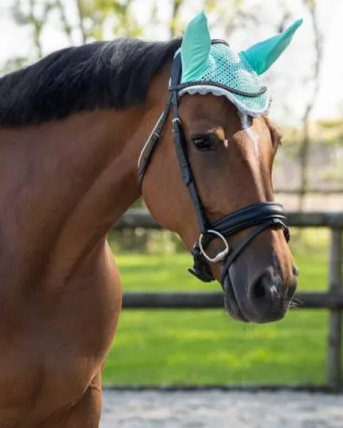 Online Bonnet à mouches color - - Confort et maintien Bonnets|Bonnet Cheval