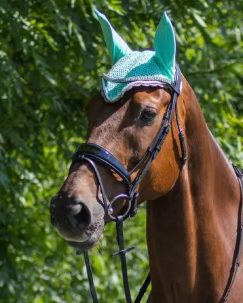 Online Bonnet à mouches color - - Confort et maintien Bonnets|Bonnet Cheval