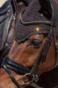 New Bonnet à mouches Crystal Heritage 25/26 - - Cristaux dorés Bonnets|Bonnet Cheval