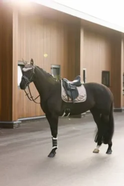 Best Bonnet a mouches lovely Bonnets|Bonnet Cheval